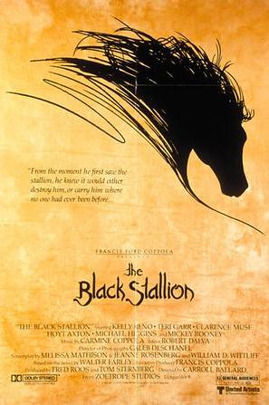 黑神驹 The Black Stallion(1979)
