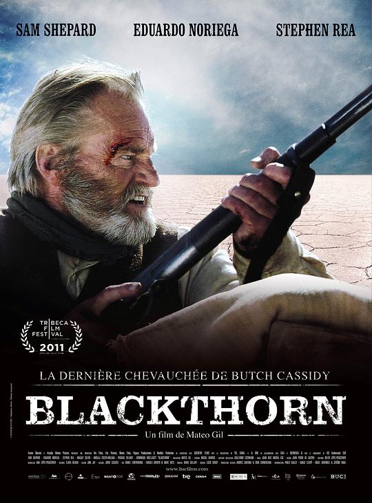黑荆棘 Blackthorn (2011)